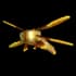 Golden Dragonfly
